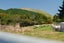 878 Te Kopia Road, Waikite Valley, Rotorua - Carousel 17