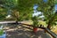121 Travers Road, Te Kauwhata, Te Kauwhata - Carousel 20