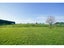 80A Wallacetown Lorneville Highway, Lorneville, Invercargill - Carousel 26
