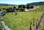 0 Poerua Valley Rd, Harihari - Carousel 11