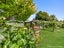 42 Delhi Avenue, Aramoho, Whanganui - Carousel 34