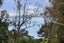 950 Beach Road, Torbay, Auckland - Carousel 19