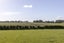 29 Matarikoriko Road, Brixton, Waitara - Carousel 27
