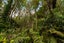 74 Okareka Loop Road, Lake Okareka, Rotorua - Carousel 23