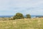 0 Waimarama Road, Waimarama, Waimarama - Carousel 10