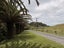 12 Stevensons Crescent, Albany - Carousel 14