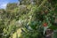 29A Salcombe Terrace, Welbourn, New Plymouth - Carousel 35