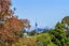 6 Arosa Place, Forrest Hill, Auckland - Carousel 2