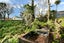 57 Meadowbank Road, Meadowbank, Auckland - Carousel 19