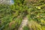 62 Shakespeare Road, Bastia Hill, Whanganui - Carousel 24