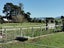819 Matamau Ormondville Road, Dannevirke - Carousel 42