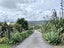 157 Tui Glen Road, Haruru, Haruru - Carousel 37