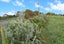 334 Oneriri Road, Kaiwaka, Kaiwaka - Carousel 8