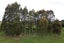 7 Opuha Street East, Orari - Carousel 33