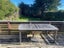 14 Ruanui Street, Himatangi Beach, Himatangi Beach - Carousel 8