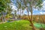 37 Burns Avenue, Takaro, Palmerston North - Carousel 1