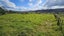 19 Doel Road, Kawakawa, Kawakawa - Carousel 16