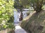 42 Buckingham Street, Melrose, Wellington - Carousel 24