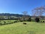1032A Tauranga Road, Te Poi, Matamata - Carousel 22