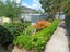 16 Pencarrow Street, Highbury, Palmerston North - Carousel 13