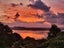 4 Puketutu Rise, Hillsborough, Auckland City, Auckland - Carousel 41