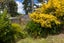 127 Kimihia Road, Huntly, Huntly - Carousel 19