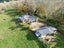1001 Whirinaki Valley Road, Rotorua - Carousel 23