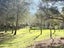 1793 Mohaka Coach Road, MOHAKA, WAIROA - Carousel 7