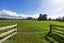 870 Pirongia Road, Pirongia, Pirongia - Carousel 21