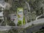 69 Aynsley Terrace, Hillsborough, Christchurch - Carousel 31