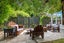 50 Carruthers Street, Ilam, Christchurch - Carousel 1