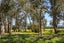 357 Kahutara Road, KAHUTARA - Carousel 5