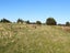 6 Mead Lane, Horopito - Carousel 7