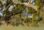20 Oscar Road, Greenhithe, Auckland - Carousel 9