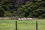 7 Pebble Brook Road, Waitoki, Silverdale - Carousel 19