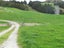 0 Tremain Road, Ruatangata West, Kamo - Carousel 12