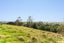219 School Road, Waimauku, Waimauku - Carousel 25