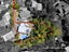 17 Reynolds Place, Torbay, Auckland - Carousel 19