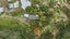 775C Pyes Pa Road, Pyes Pa, Tauranga - Carousel 2