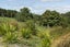 0 Owhiwa Road, Parua Bay, Parua Bay - Carousel 17