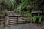 447 Takaputahi Road, Toatoa, Opotiki - Carousel 34