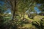 102 Jones Creek Road, Birchfield, Westport - Carousel 17