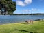 0 Black Swamp Rd, Mangawhai - Carousel 12