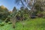 2/99 Hadfield Street, Beach Haven, Auckland - Carousel 35