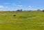 180 Takahe Road, Ahipara, Kaitaia - Carousel 31
