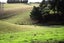 118 Old Port Road, Warepa - Carousel 17