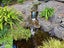 9 Tupare Heights, Pyes Pa, Tauranga - Carousel 20