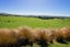 112 Nightcaps Opio Road, Opio, Otautau - Carousel 28