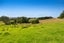 56 Burne Road, Albany - Carousel 24