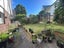 2/2 Photinia Place, Botany Downs, Auckland - Carousel 10